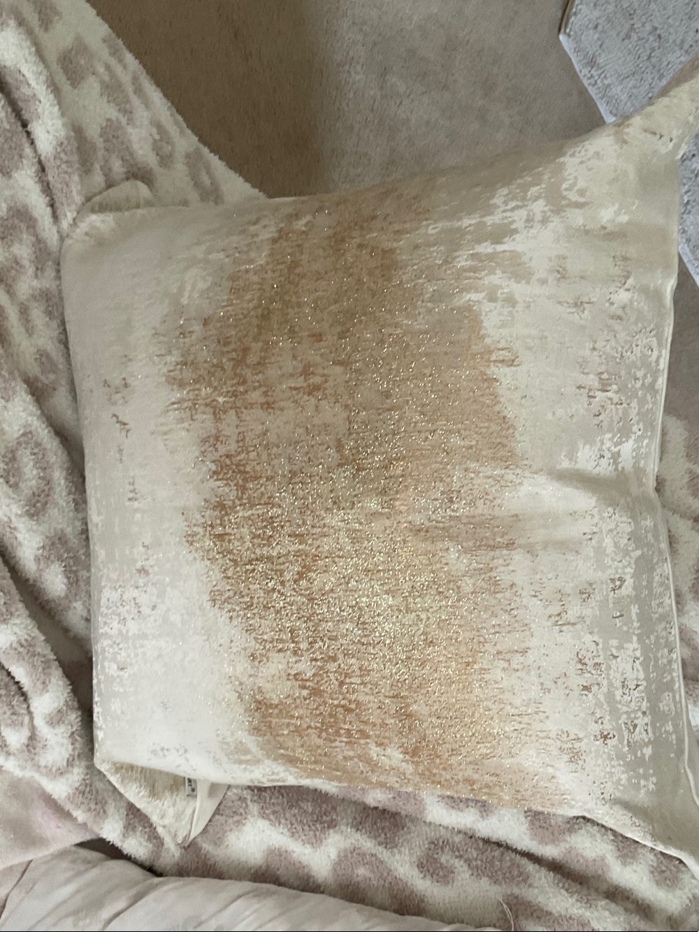 Neutral Cream Velvet Decorative Pillow with Gold Accent